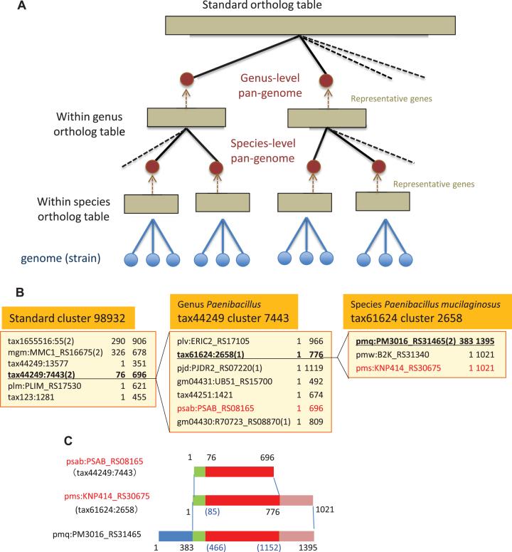 https://cdn.ncbi.nlm.nih.gov/pmc/blobs/516a/6324027/5b69ff33c11a/gky1054fig1.jpg