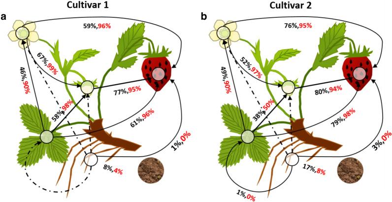 https://cdn.ncbi.nlm.nih.gov/pmc/blobs/516b/9052558/4a73481adbe0/40793_2022_415_Fig4_HTML.jpg
