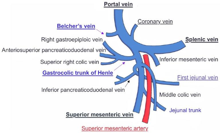 https://cdn.ncbi.nlm.nih.gov/pmc/blobs/516d/12429759/6c8d8c69b04c/jcm-14-06144-g004.jpg