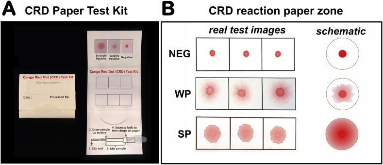 https://cdn.ncbi.nlm.nih.gov/pmc/blobs/516d/6537515/622dcd10865b/gr1.jpg