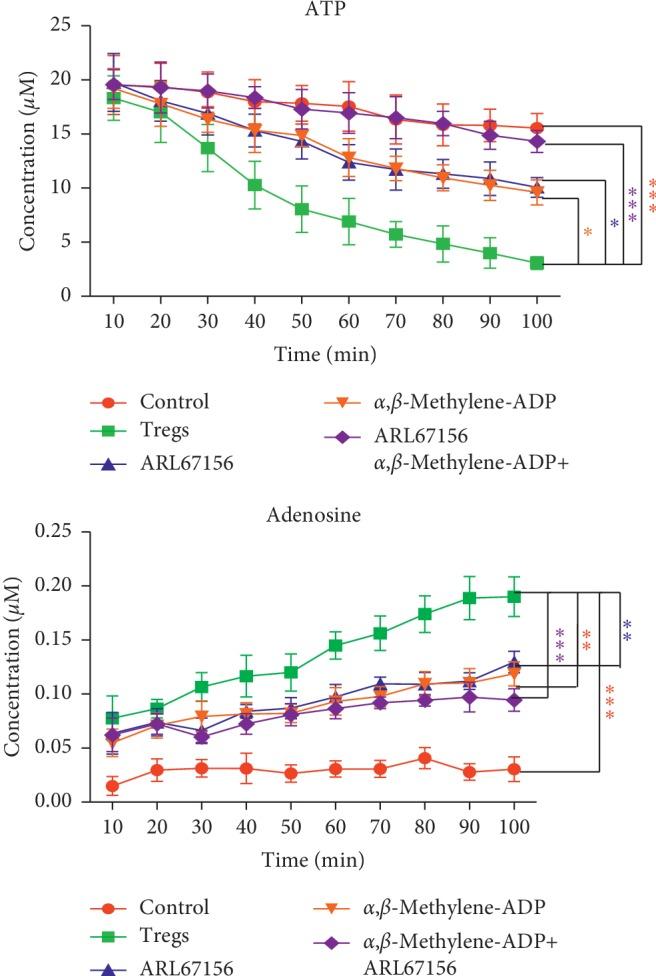 https://cdn.ncbi.nlm.nih.gov/pmc/blobs/516d/6942766/cbf224ccfeb6/BMRI2019-4093214.002.jpg
