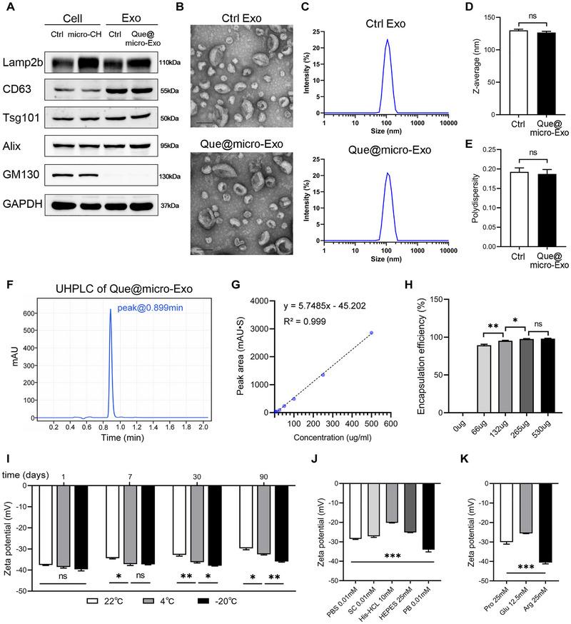 https://cdn.ncbi.nlm.nih.gov/pmc/blobs/5170/12199405/50272ba97353/EXP2-5-20240349-g008.jpg