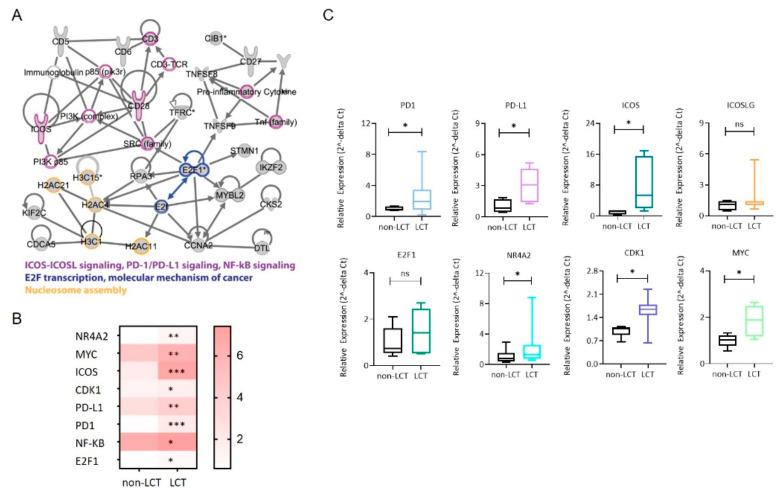 https://cdn.ncbi.nlm.nih.gov/pmc/blobs/5171/8616450/237af641d955/cancers-13-05854-g004.jpg