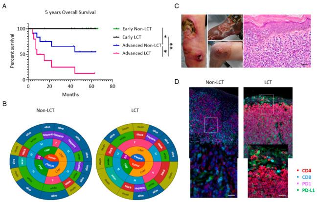 https://cdn.ncbi.nlm.nih.gov/pmc/blobs/5171/8616450/54954ddd1084/cancers-13-05854-g001.jpg