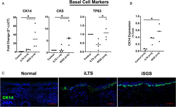 https://cdn.ncbi.nlm.nih.gov/pmc/blobs/5172/9790755/a097ba0c00dd/LARY-132-2194-g002.jpg