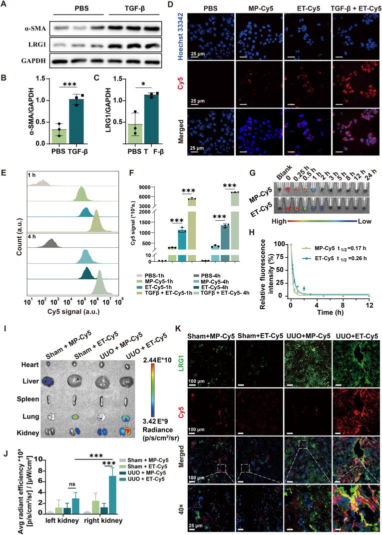 https://cdn.ncbi.nlm.nih.gov/pmc/blobs/5175/11378895/704519d8c1de/gr2.jpg