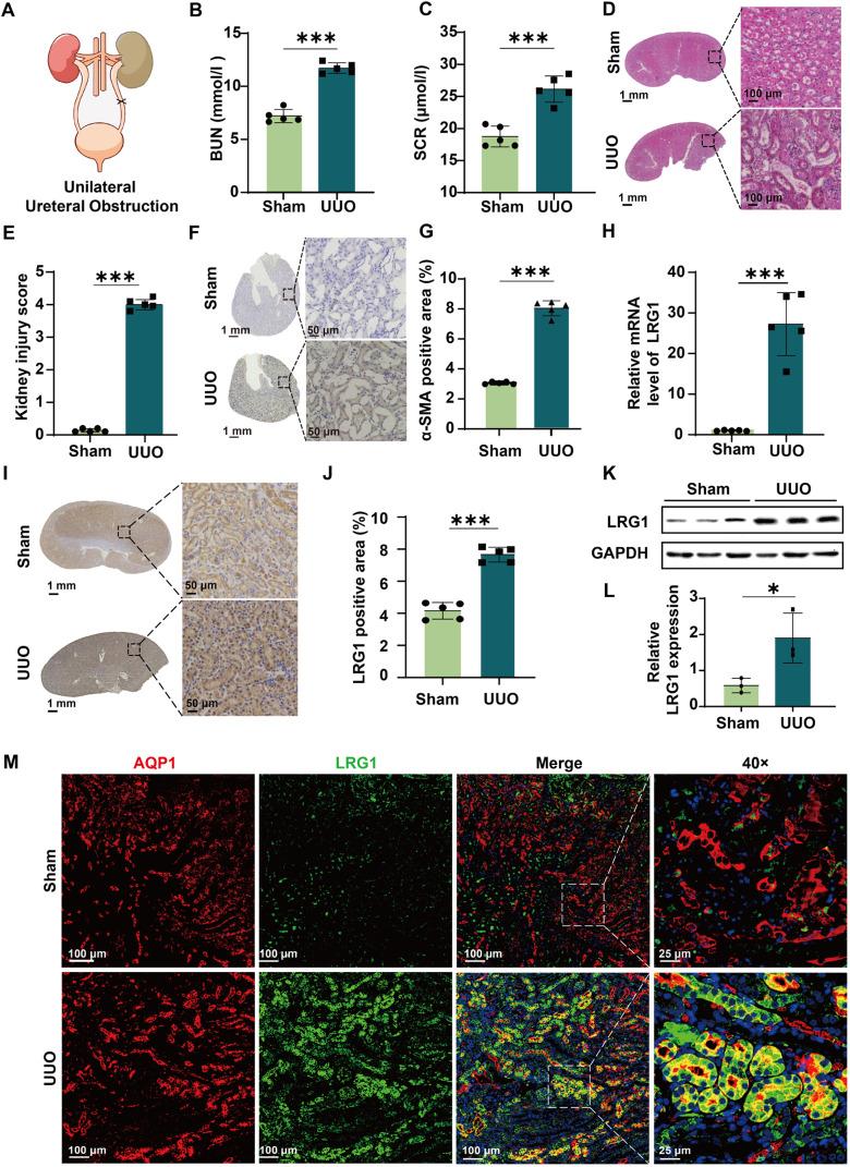 https://cdn.ncbi.nlm.nih.gov/pmc/blobs/5175/11378895/a7ec2aa5df6a/gr1.jpg