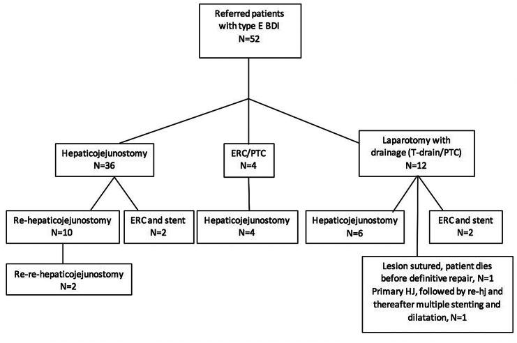 https://cdn.ncbi.nlm.nih.gov/pmc/blobs/5175/8116261/792568eb7be7/464_2020_7726_Fig1_HTML.jpg
