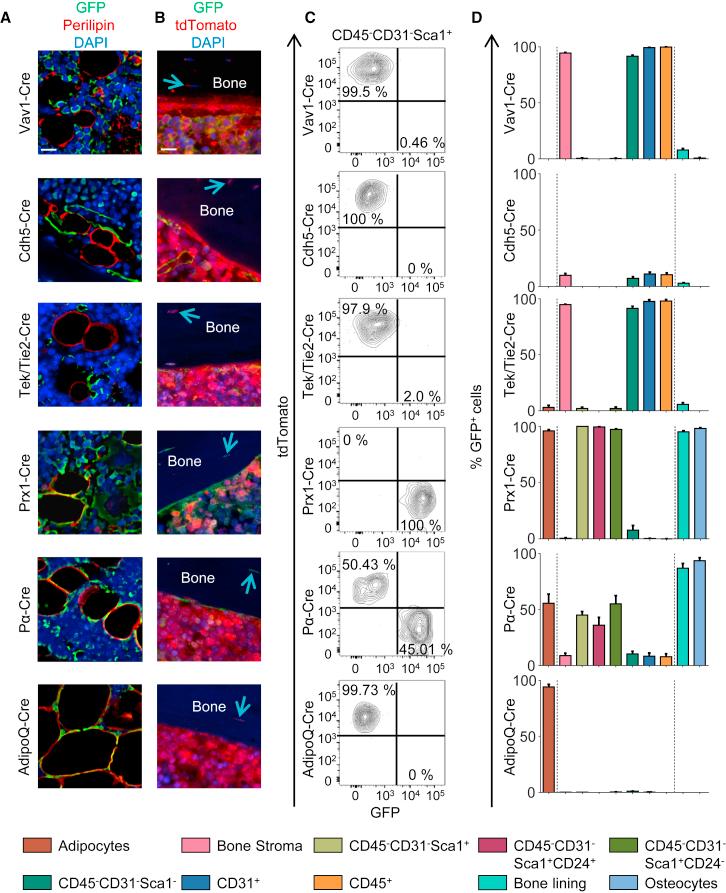 https://cdn.ncbi.nlm.nih.gov/pmc/blobs/5177/5459794/539d86971321/gr2.jpg