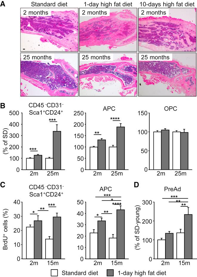https://cdn.ncbi.nlm.nih.gov/pmc/blobs/5177/5459794/d28657b22e16/gr3.jpg