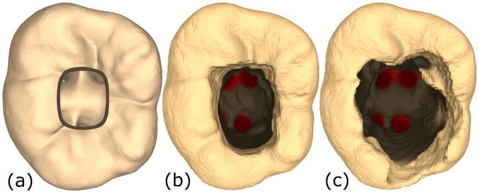 https://cdn.ncbi.nlm.nih.gov/pmc/blobs/5178/10550175/a4c0092e1124/pone.0291389.g004.jpg