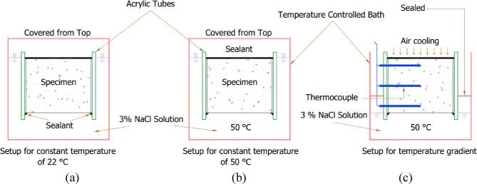 https://cdn.ncbi.nlm.nih.gov/pmc/blobs/5178/12127466/75315955c9a6/41598_2025_4031_Fig4_HTML.jpg