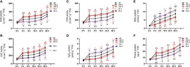https://cdn.ncbi.nlm.nih.gov/pmc/blobs/517a/11387889/64b4d47acf53/fpls-15-1439972-g005.jpg