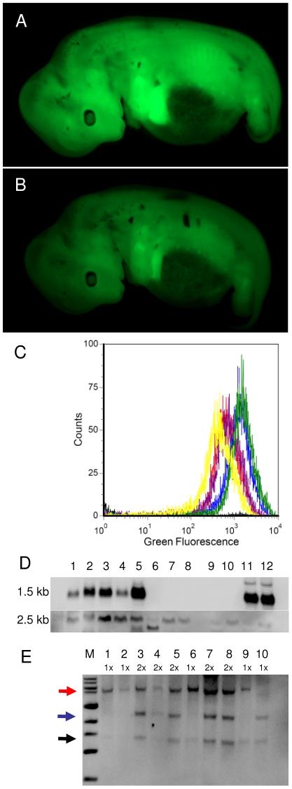 https://cdn.ncbi.nlm.nih.gov/pmc/blobs/517a/3163581/5af6588b748c/pone.0023573.g004.jpg