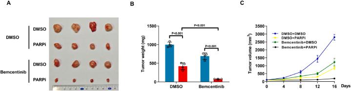 https://cdn.ncbi.nlm.nih.gov/pmc/blobs/517c/11399589/bf20d187e19d/gr6.jpg