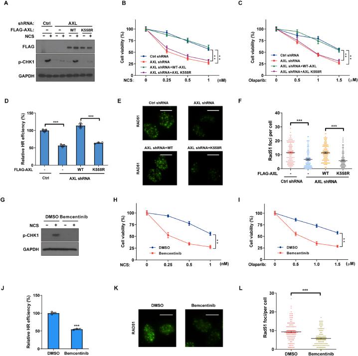 https://cdn.ncbi.nlm.nih.gov/pmc/blobs/517c/11399589/c912126882a7/gr3.jpg