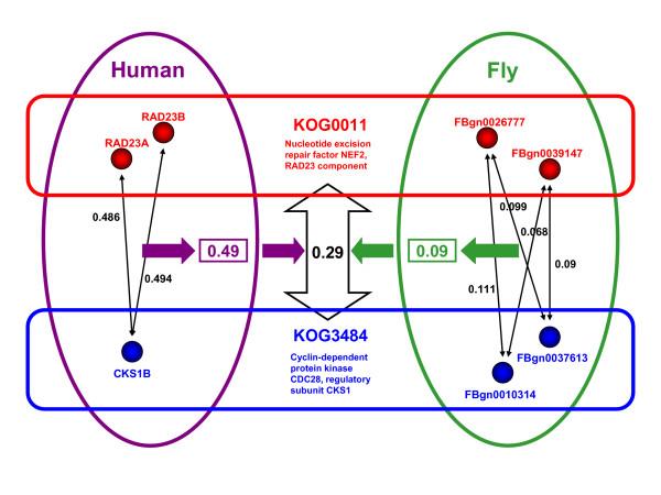 https://cdn.ncbi.nlm.nih.gov/pmc/blobs/5180/2383918/e02247bb203a/1471-2105-9-208-5.jpg