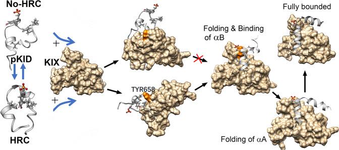 https://cdn.ncbi.nlm.nih.gov/pmc/blobs/5180/9814494/07161df27df4/42004_2020_370_Fig7_HTML.jpg