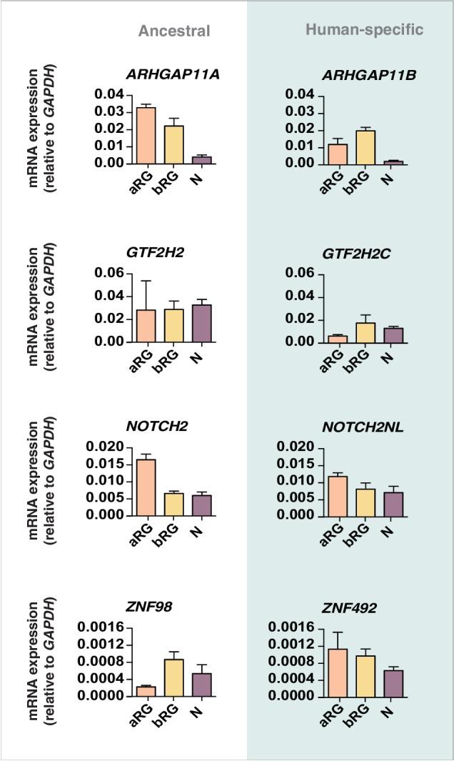 https://cdn.ncbi.nlm.nih.gov/pmc/blobs/5185/5898914/71c83c2da767/elife-32332-fig7-figsupp1.jpg
