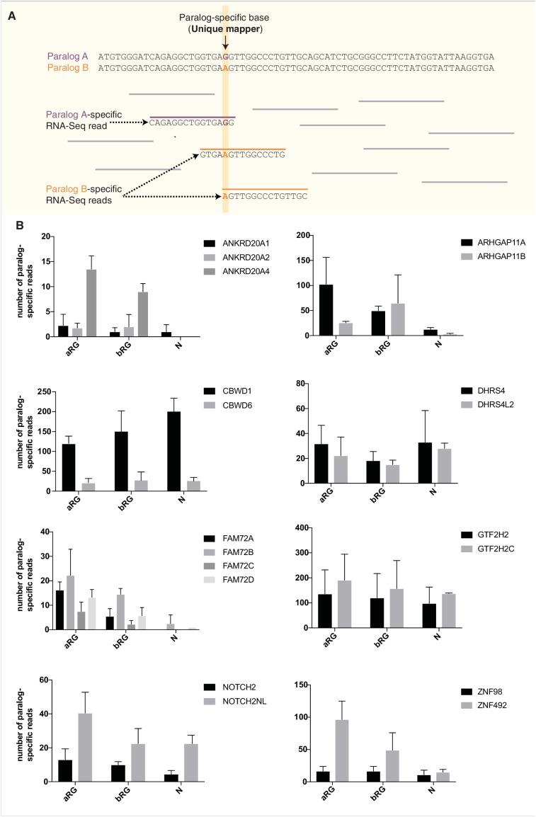 https://cdn.ncbi.nlm.nih.gov/pmc/blobs/5185/5898914/99e2cd7c93fa/elife-32332-fig7-figsupp2.jpg