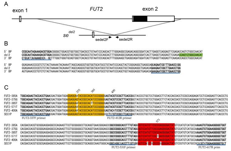 https://cdn.ncbi.nlm.nih.gov/pmc/blobs/5186/10297093/04840569b8ea/diagnostics-13-02022-g001.jpg
