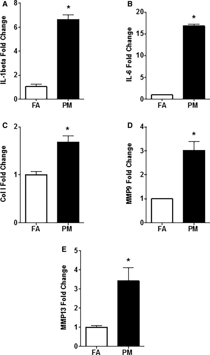 https://cdn.ncbi.nlm.nih.gov/pmc/blobs/518a/5533043/abac5065ae7a/JAH3-6-e005796-g005.jpg