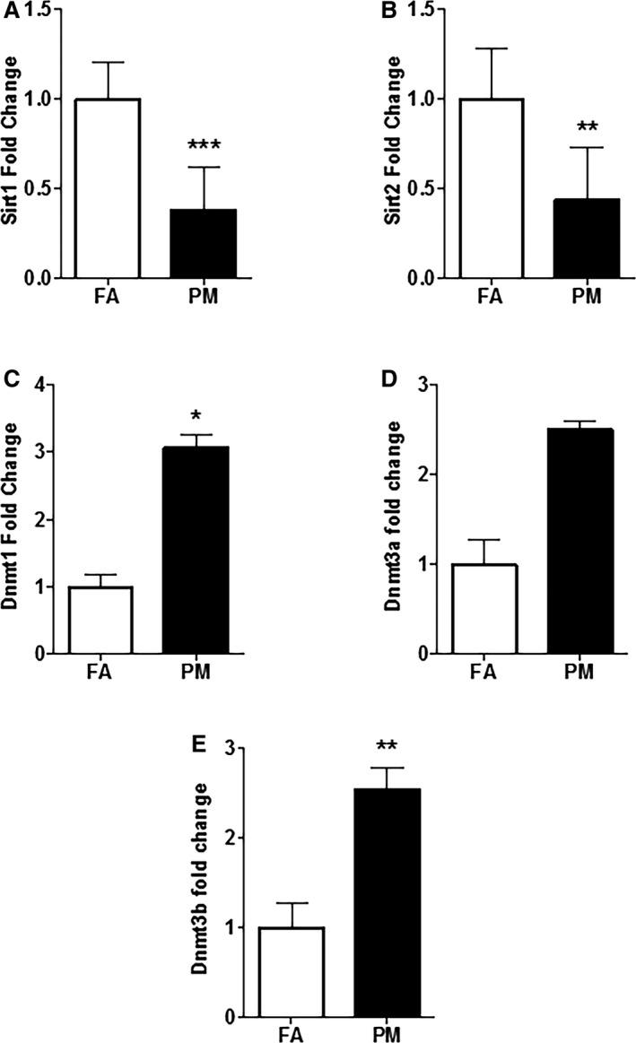 https://cdn.ncbi.nlm.nih.gov/pmc/blobs/518a/5533043/fa0baef4d205/JAH3-6-e005796-g008.jpg