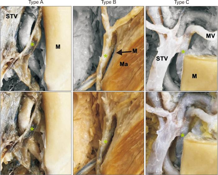 https://cdn.ncbi.nlm.nih.gov/pmc/blobs/518a/7769106/5daa4847ea79/ACB-53-444-f3.jpg