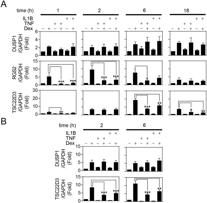 https://cdn.ncbi.nlm.nih.gov/pmc/blobs/518b/4308083/7cdb55b15984/pone.0116773.g001.jpg