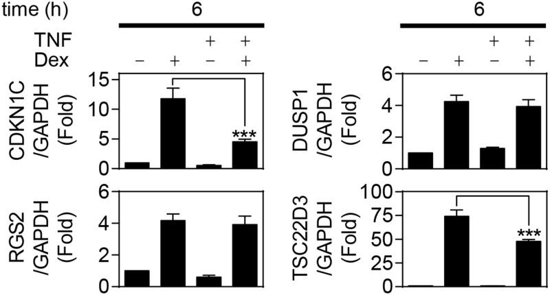https://cdn.ncbi.nlm.nih.gov/pmc/blobs/518b/4308083/bb357ec82c39/pone.0116773.g002.jpg