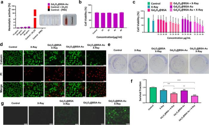 https://cdn.ncbi.nlm.nih.gov/pmc/blobs/518c/9945098/93d76b2c91d0/mt2c00965_0005.jpg