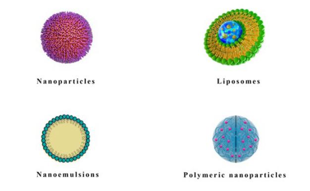 https://cdn.ncbi.nlm.nih.gov/pmc/blobs/518d/11771329/0c7edd38bdeb/IJBMS-28-16-g002.jpg