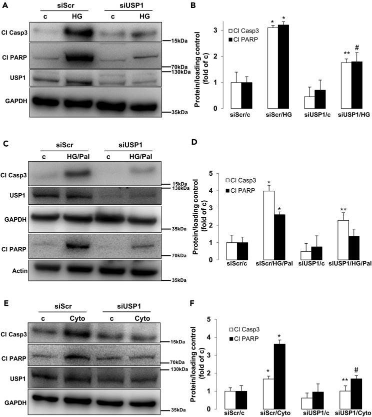 https://cdn.ncbi.nlm.nih.gov/pmc/blobs/518d/6135944/4353340f4192/gr1.jpg