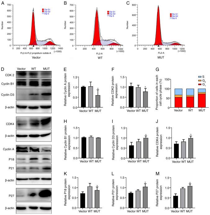 https://cdn.ncbi.nlm.nih.gov/pmc/blobs/518d/7974315/15e711beff02/mmr-23-05-11993-g02.jpg