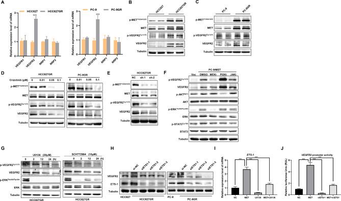 https://cdn.ncbi.nlm.nih.gov/pmc/blobs/5191/11443824/957830b4677e/40164_2024_565_Fig2_HTML.jpg