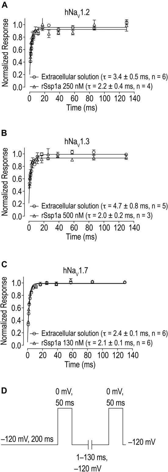 https://cdn.ncbi.nlm.nih.gov/pmc/blobs/5192/8740163/dbb246aa7198/fphar-12-795455-g005.jpg