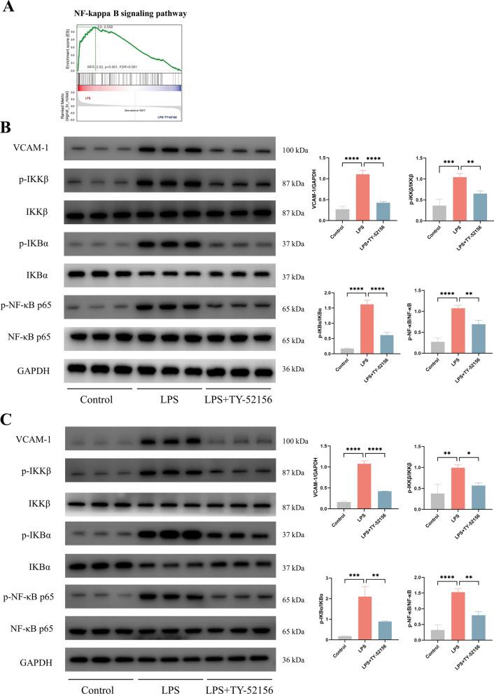 https://cdn.ncbi.nlm.nih.gov/pmc/blobs/5196/11151509/c9f0dda9b1ca/12967_2024_5220_Fig5_HTML.jpg