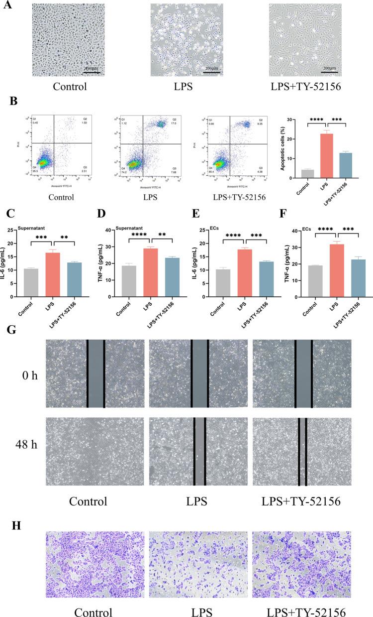 https://cdn.ncbi.nlm.nih.gov/pmc/blobs/5196/11151509/da5b64ae0749/12967_2024_5220_Fig2_HTML.jpg