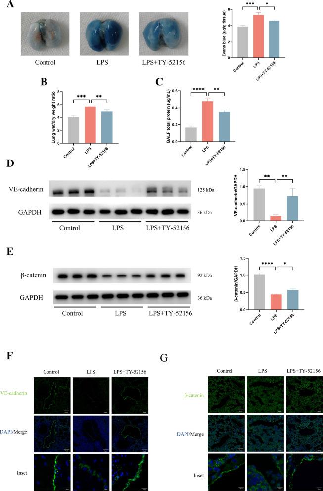 https://cdn.ncbi.nlm.nih.gov/pmc/blobs/5196/11151509/f4edc5548b0e/12967_2024_5220_Fig3_HTML.jpg