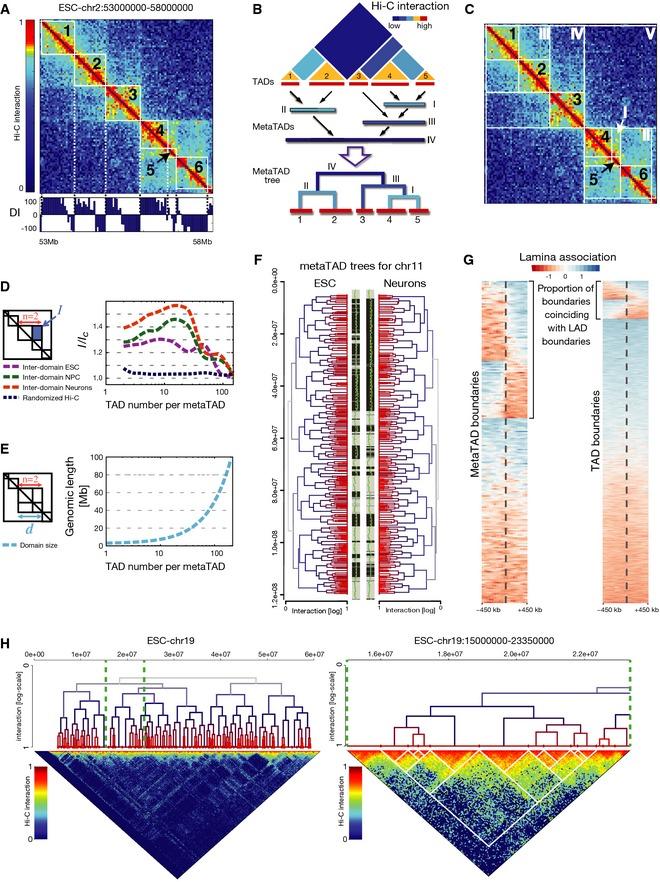 https://cdn.ncbi.nlm.nih.gov/pmc/blobs/5196/4704492/414885d24b71/MSB-11-852-g004.jpg