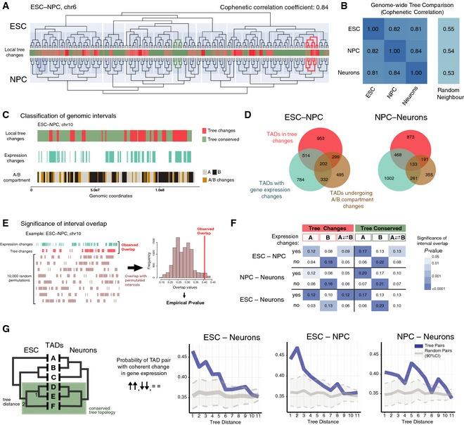 https://cdn.ncbi.nlm.nih.gov/pmc/blobs/5196/4704492/734a64c681c5/MSB-11-852-g008.jpg
