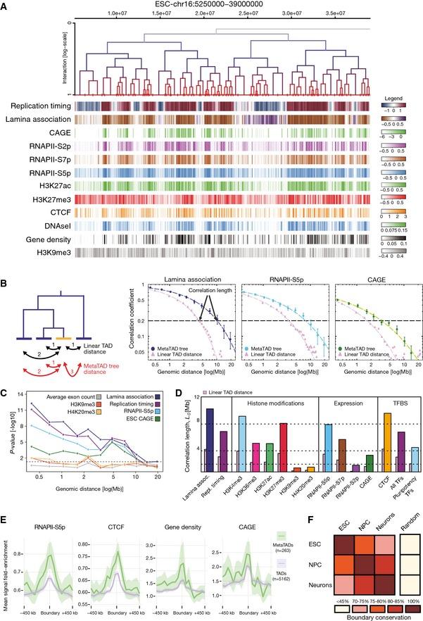 https://cdn.ncbi.nlm.nih.gov/pmc/blobs/5196/4704492/e9e65a3cc4cb/MSB-11-852-g006.jpg