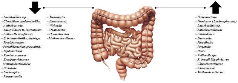 https://cdn.ncbi.nlm.nih.gov/pmc/blobs/5198/11766696/9312b57e7cde/medicina-61-00109-g001.jpg
