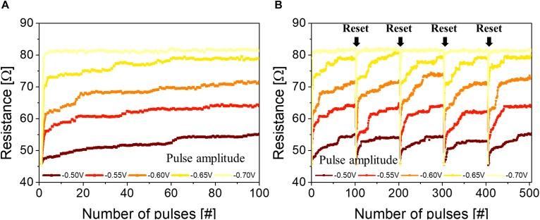 https://cdn.ncbi.nlm.nih.gov/pmc/blobs/5198/7204637/98c38cf3eba2/fnins-14-00309-g003.jpg