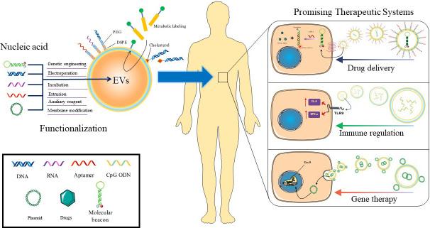 https://cdn.ncbi.nlm.nih.gov/pmc/blobs/5199/11648500/fa5050d3518e/evcna-3-1-14.scheme.1.jpg
