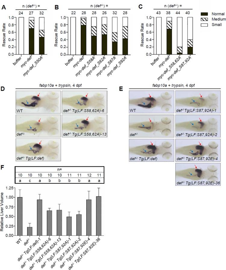https://cdn.ncbi.nlm.nih.gov/pmc/blobs/5199/5033581/1bc5283f1aa3/pbio.1002555.g006.jpg
