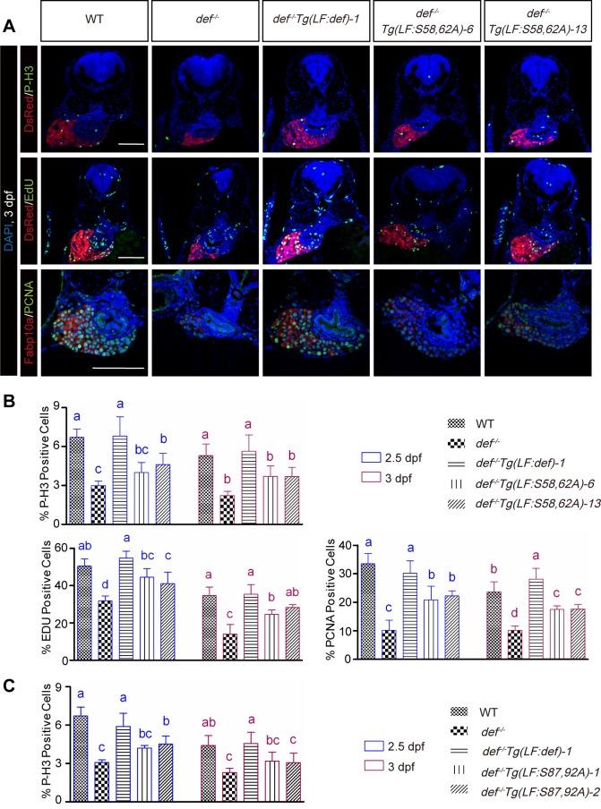 https://cdn.ncbi.nlm.nih.gov/pmc/blobs/5199/5033581/f1235dbe4fd3/pbio.1002555.g007.jpg