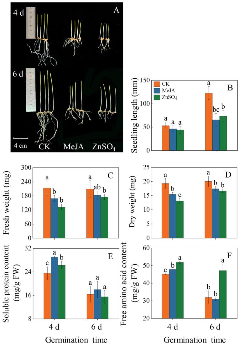 https://cdn.ncbi.nlm.nih.gov/pmc/blobs/519a/11174577/07b8cad99cd5/plants-13-01512-g001.jpg
