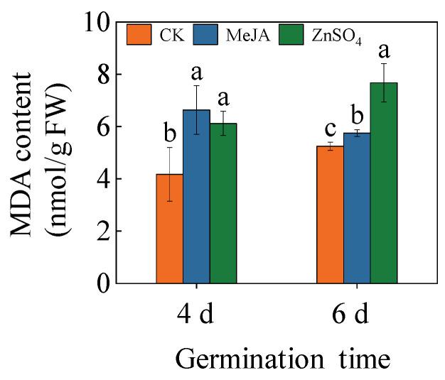 https://cdn.ncbi.nlm.nih.gov/pmc/blobs/519a/11174577/2d61a91fcca2/plants-13-01512-g003.jpg