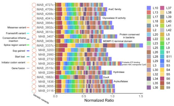 https://cdn.ncbi.nlm.nih.gov/pmc/blobs/519b/12090666/2a81302d10e1/12866_2025_4010_Fig5_HTML.jpg